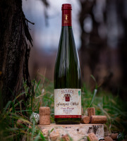 Domaine François WECK et fils - Riesling Cuvée "Prestige" 2023 - 75 cl x12