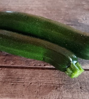 Aux Jardins des Colibris - Courgettes vertes Bio