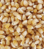 L’Oliveraie du Coudon - Maïs pop corn  paquet 300g