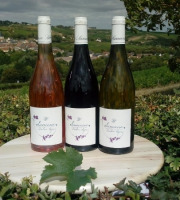 Domaine Doudeau-Leger - Coffret Découverte Trio Sancerre : Blanc - Rouge - Rosé