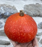 Domaine Reverchon - Potimarron 1.5kg