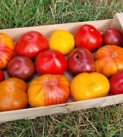 Le Pré de la Rivière - 5kg de tomates anciennes variées Bio - Origine France