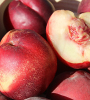 Domaine Reverchon - nectarine blanche 1KG