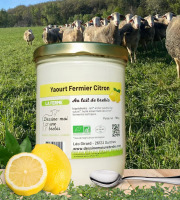 Dessine moi une brebis - Yaourt Brebis Citron 780g