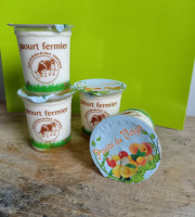 Ferme Chambon - Yaourts Au Lait Cru Et Aux Fruits (fruits Du Verger) X4