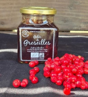 Le verger bio de Quinsac - Gelée de groseilles 330gr BIO