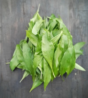 Elevage de Cochons en Forêt et Produits du Terroir Jurassien - Ail des ours - feuilles fraiches