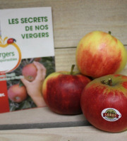 Le Châtaignier - Pommes Elstar - Colis 5kg