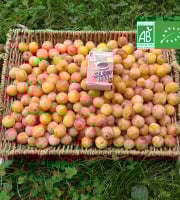 LES JARDINS DE KARINE - Mirabelles BIO / Moriviller / Lorraine - 5kg