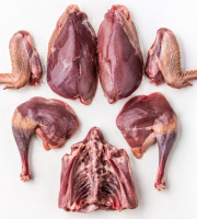 Des Poules et des Vignes à Bourgueil - Pigeon découpé avec carcasse