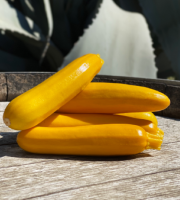 La Boite à Herbes - Courgette Jaune - 1 Kg