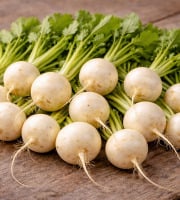 Nature et Saveurs - Ferme Aquaponique et Permacole Astérienne - Navet polaire – chair blanche, douceur et précision culinaire