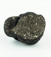 ALENA la Truffe d'Aquitaine - Truffe Noire Du Périgord Fraiche Tuber Melanosporum  Morceau  - 100g