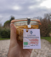 ChâteauFer - Lacto de radis jaune 150g