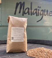 Domaine de Malaïgue - Petit Epeautre en Grains bio - 1kg