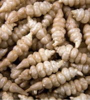 Le Châtaignier - Crosne - 100g