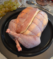 Terre de Gallie - "SPECIAL FETES" FAISAN FARCI MALOUIN