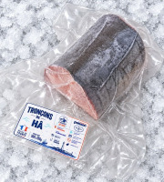 Mon Petit Poisson - Tronçon de hâ de ligne – 500 à 700 g