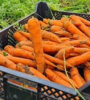 La Ferme de Goas Per - Carotte bio - 10kg