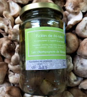 Les champignons de Vernusse - Pickles de shiitakes - 200g