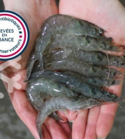 Lisaqua - Crevette française crue surgelée - 1KG (2X500g) - Calibre +100