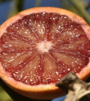 L’Oliveraie du Coudon - Oranges sanguines 2kg