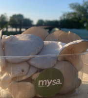 Mysa - Pleurotes grises 1,2kg