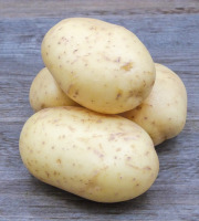 Nature et Saveurs - Ferme Aquaponique et Permacole Astérienne - Pommes de Terre AGATA
