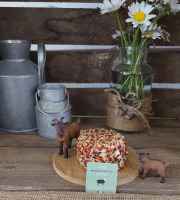 Boutique Boisette - Chèvre enrobé pempa 150g