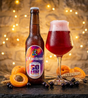 Bière L’Eurélienne – Brasserie de Chandres - Bière Sour 6x33cl