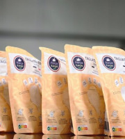 France-Konjac - PACK 5 Tagliatelles BIO de konjac 1,2kg (5x200g net)