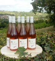 Domaine Doudeau-Leger - Sancerre Rosé AOC 2023 - 6 Bouteilles