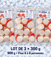 Mon Petit Poisson - Noix de Saint-Jacques coraillées – lot de 3 × 300 g (900 g)