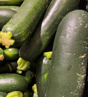 Le Châtaignier - Grosse courgette BIO - 1 pièce