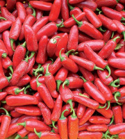 Les Jardins de Mondpa - piments forts