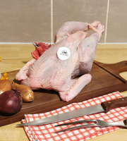 Fermette des Landes - Poulet de Gournay 1,8kg