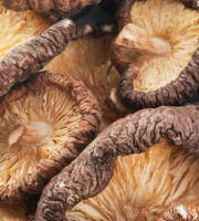 La Carrière du Bienheureux - Shiitake déshydraté Bio - 100g