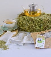 Dégustonfoin - Tisane au Foin BIO – 10 sachets de 10g