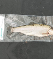 Nature et Saveurs - Ferme Aquaponique et Permacole Astérienne - Truites blanches portion – Élevées en aquaponie
