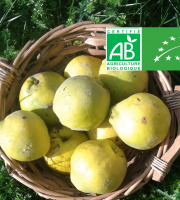 LES JARDINS DE KARINE - Coing frais - 1kg