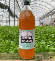 Les Nouvelles Fermes - Jus de pomme à la menthe (1L)