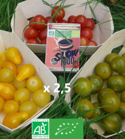 LES JARDINS DE KARINE - Tomates cerises : le TRIO gourmet (4x500g)