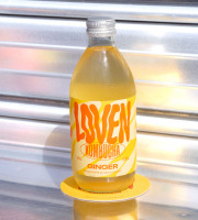 Brasserie L'Indispensable LOVEN Kombucha - Kombucha Ginger (gingembre cardamome) - 6x33cl