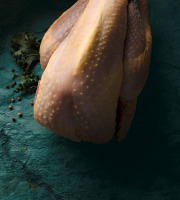 Les Volailles de la Garenne - [Précommande] Pintade chaponnée