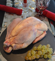 Terre de Gallie - [Précommande] 'NOUVEAUTE NOEL 2025" CHAPON DE FAISAN