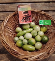 LES JARDINS DE KARINE - Tomates cerises vertes-250g