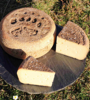 Maxime Bajas – Ferme De L’Aouda - Fromage de brebis PéDescaous –  Printemps 5 mois – demi 2,4kg