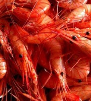 Brest Marée - Crevettes Bouquet cuites- 1kg