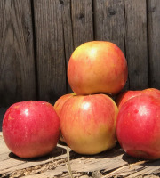 La Boite à Herbes - Pomme  bicolore  Story- - 3kg