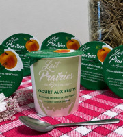 Lait Prairies du Boulonnais - Yaourt brassé Abricot - 6 x 125g